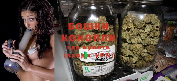 дурь Новодвинск