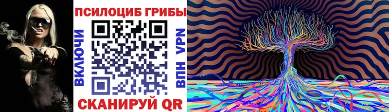 MEGA tor Циолковский Псилоцибиновые грибы мухоморы